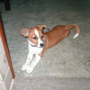 Meet your Posher, Keith